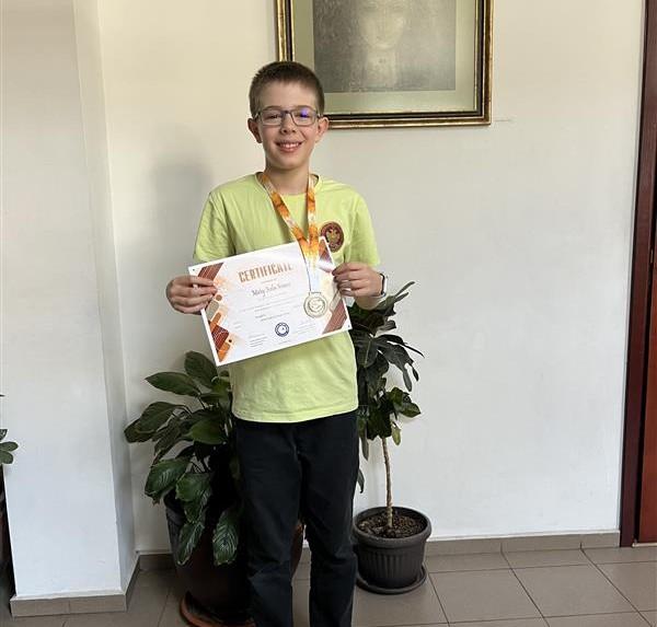 Prize-winning places at the international competition Mathematics ...