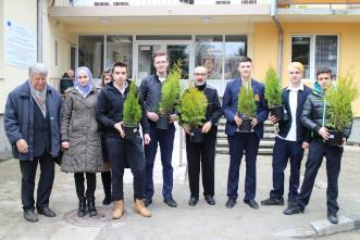 Volunteers plant trees