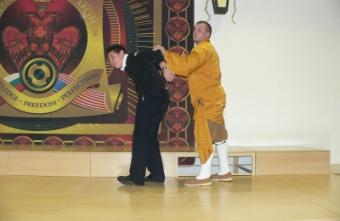 The Shaolin Monastery